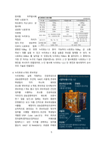 누리호 발사성공, 의의 및 향후 해결과제[누리호,우주산업,우주,위성,나로호]-5