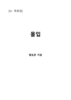 몰입-1