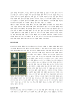 르네 마그리트와 극사실주의-8
