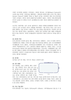 스케이트에 대해서 알아보자-2