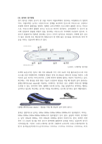 스케이트에 대해서 알아보자-8