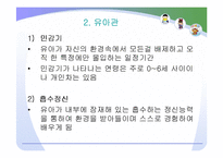 (보육학) 보육프로그램 -몬테소리와 레지오에밀리아 접근법-3