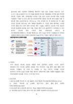 CHIP4 추진배경 및 가입에 따른 문제점 [CHIP4,반도체,CHIP,시스템반도체,미중]-6