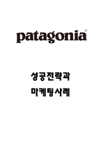 파타고니아 성공전략분석과 마케팅사례 분석 및 파타고니아 기업분석과 시장상황분석-1
