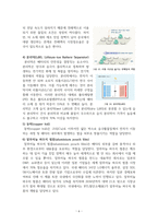 이차 전지의 구조 및 개발-6