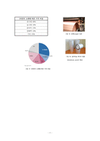 이차 전지의 구조 및 개발-7