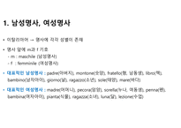 이탈리아어 명사 정리-2
