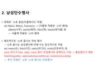 이탈리아어 명사 정리-4