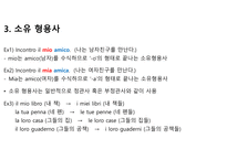 이탈리아어 형용사에 대해서-6
