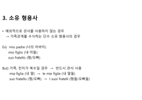 이탈리아어 형용사에 대해서-7