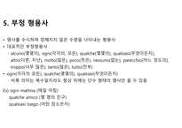이탈리아어 형용사에 대해서-11