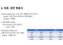 이탈리아어 형용사에 대해서-13