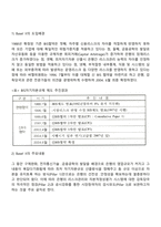 BIS 자기자본 비율-3