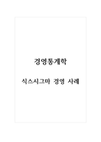경영통계학_식스시그마 경영 사례-1
