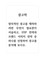 광고학_창의적인 광고를 제작하려면 무엇이 필요한지 서술하고, USP 전략과 브랜드 이미지 전략 중 하나를 선정하여 광고를 분석해 보시오-1