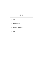 보육과정 - 표준보육과정의 개념과 놀이중심 보육과정의 정의, 이론적 근거, 장단점들 기술하시오-2