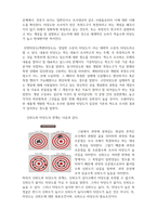 사회복지조사론_1 조작화의 개념과 과정을 설명하고, 하나의 사례를 제시하여 이에 따른 조작화 과정을 각 단계별(3단계)로 적용해 보세요 2 신뢰도와 타당도의 개념에 대해 기술하시고, 가장 좋은 측정 도구에 있어서의 신뢰도와 타당도의 관계에 대해서 설명하세요-5