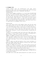 피아제의 인지발달이론의 주요개념(동화, 조절, 평형화)과 인지발달 단계에 대하여 설명하시오-2