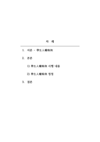 학교사회복지론-학생인권조례의 현황과 정정에 대하여 논하시오-2