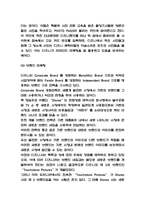 월트디즈니 기업분석 / 디즈니 마케팅전략 사례연구와 SWOT분석 / 디즈니 향후전략 방향제시-6