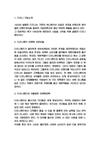 디즈니랜드 마케팅 성공비결과 디즈니랜드 마케팅 사례분석과 향후시사점-3