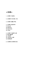 서브웨이 기업전략 사례와 미래방향 제시-2