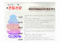 병리학 과제 1(비뇨기계, 생식기계, 내분비기계)-13