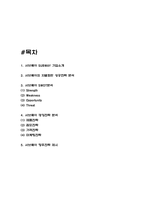 서브웨이 SUBWAY 성공전략과 경영전략 분석 및 향후전략 제시-2