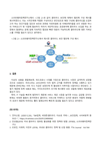 방송통신대_클라우딩컴퓨터_한국지능정보사회진흥원(NIA)와 소프트웨어정책연구소(SPRI)는 클라우드 컴퓨팅과 관련하여 각각 클라우드의 미래모습과 보안, 국내 클라우드 컴퓨팅 활성화를 위한 정책과 방향이라는 주제로 보고서를 발표하였다 보고서를 읽고 관련 내용을 조사하여 클라우드 컴퓨팅의 활성화를 위한 클라우드 보안과 정책에 대해 정리하시오 (2)-6