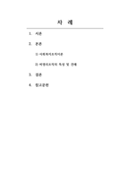 사회복지행정론 사회복지조직이론을 아래의 기준에 맞추어 정리하시오-2