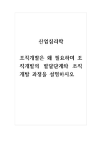 산업심리학 조직개발은 왜 필요하며 조직개발의 발달단계와 조직개발 과정을 설명하시오-1