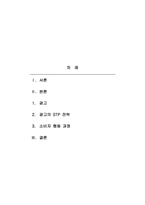 생활과광고-광고의 개념, 역할, 종류와 광고의 STP전략, 소비자 행동 과정에 대한 핵심 내용을 정리하여 서술하시오-2