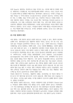 여성범죄학_여성이 범죄학의 주된 논의대상이 되기까지의 변천과정-4