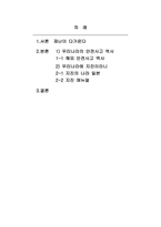 재난안전-재난 및 안전관리에 대해 우리의 실정을 분석하여 미국, 일본, 영국을 비교해서 문제점과 개선책을 기술하시오-2