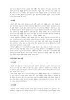 중국문화의이해_중국 문화 산업(의류)에 대하여 조사-4