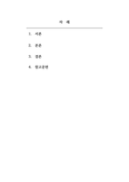 청소년복지론_외국인 청소년 복지정책 조사-2
