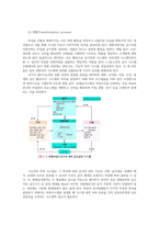 급식경영학4공통) 급식시스템의 정의와특징 급식시스템의모형과 구성요소 시설별 급식유형(산업체급식 학교급식 병원급식 사회복지시설 급식 2개 설명하시오0k-3