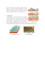 대륙이동설과 판구조론에 대해서-4