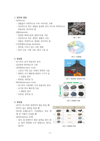 화성암, 변성암, 퇴적암에 대한 정리-2