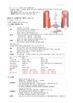 정리-인체구조와기능2-20