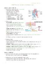 시험 대비 노트(기말고사) 정리 - 건강사정 및 실습-1