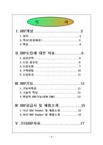 [경영학] ERP에 관하여-2