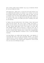 [MIS] ERP도입과 성공사례분석-19