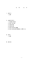 [ERP] ERP에 관하여-2