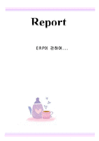 ERP에 관하여 레포트-1