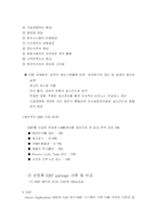 [ERP시스템] ERP에 대하여-10