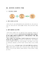 [경제학] 친디아의 등장과 미래-7