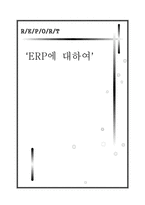 ERP에 대하여 레포트-1
