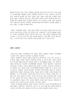 [마케팅] 세계 일류 도시 서울 DECOMAS전략(브랜드 구축 전략)-11
