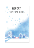 [경영정보] ERP에 대하여-1